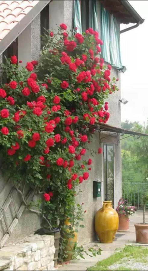 Casa Mazzocchi Vista Su Poppi Villa ภายนอก รูปภาพ